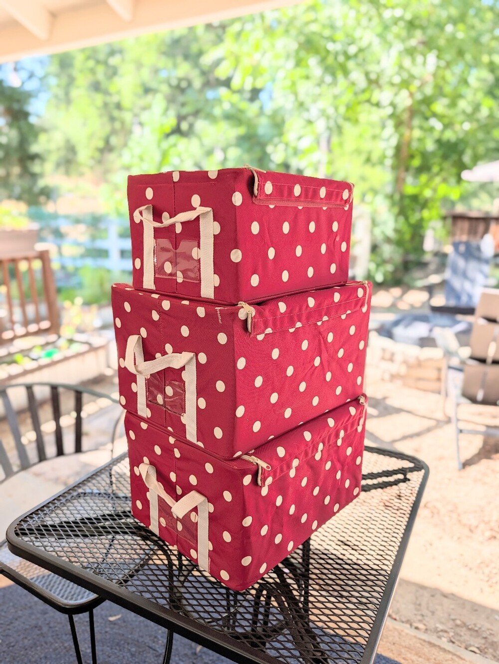 Reisenrhel 3 Box Set in Red Polka Dot Collapsible